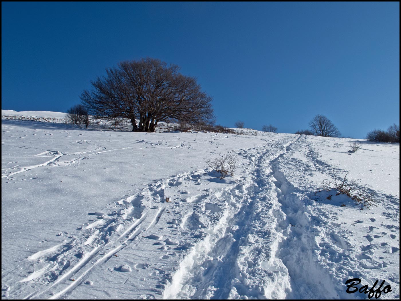 Piccola escursione sul monte Auremiano (Slovenia)